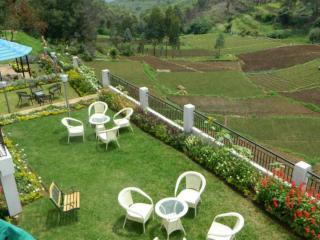 Mount N Mist Hotel Nainital Dış mekan fotoğraf